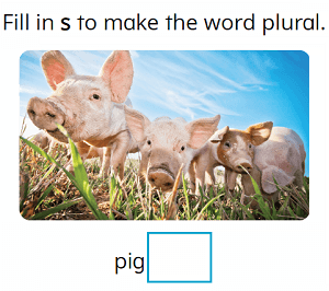 Plural Nouns - Preview